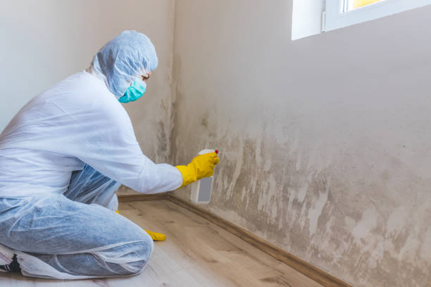 Commercial Mold Remediation assessment for commercial property in Vandalia